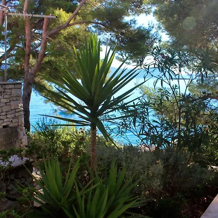 アパート By The Sea Lumbarda, Korcula - 9172 ルンバルダ